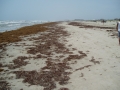 mui01slsw-070501.JPG